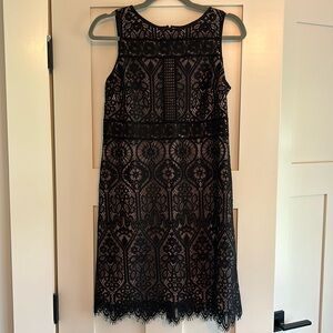 NWT LOFT Lace Dress